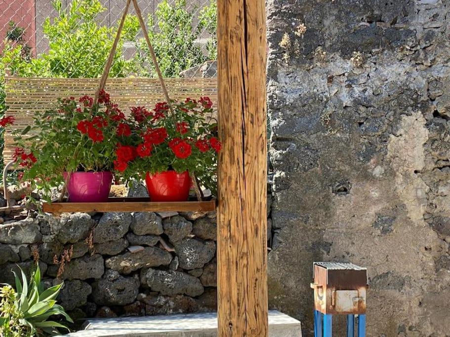 Casaammari Villa Acireale Kültér fotó